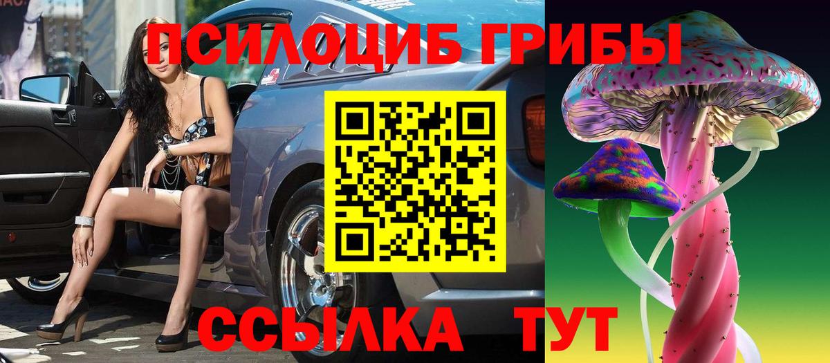 Донской  Галлюциногенные грибы прущие грибы  Вход с VPN 